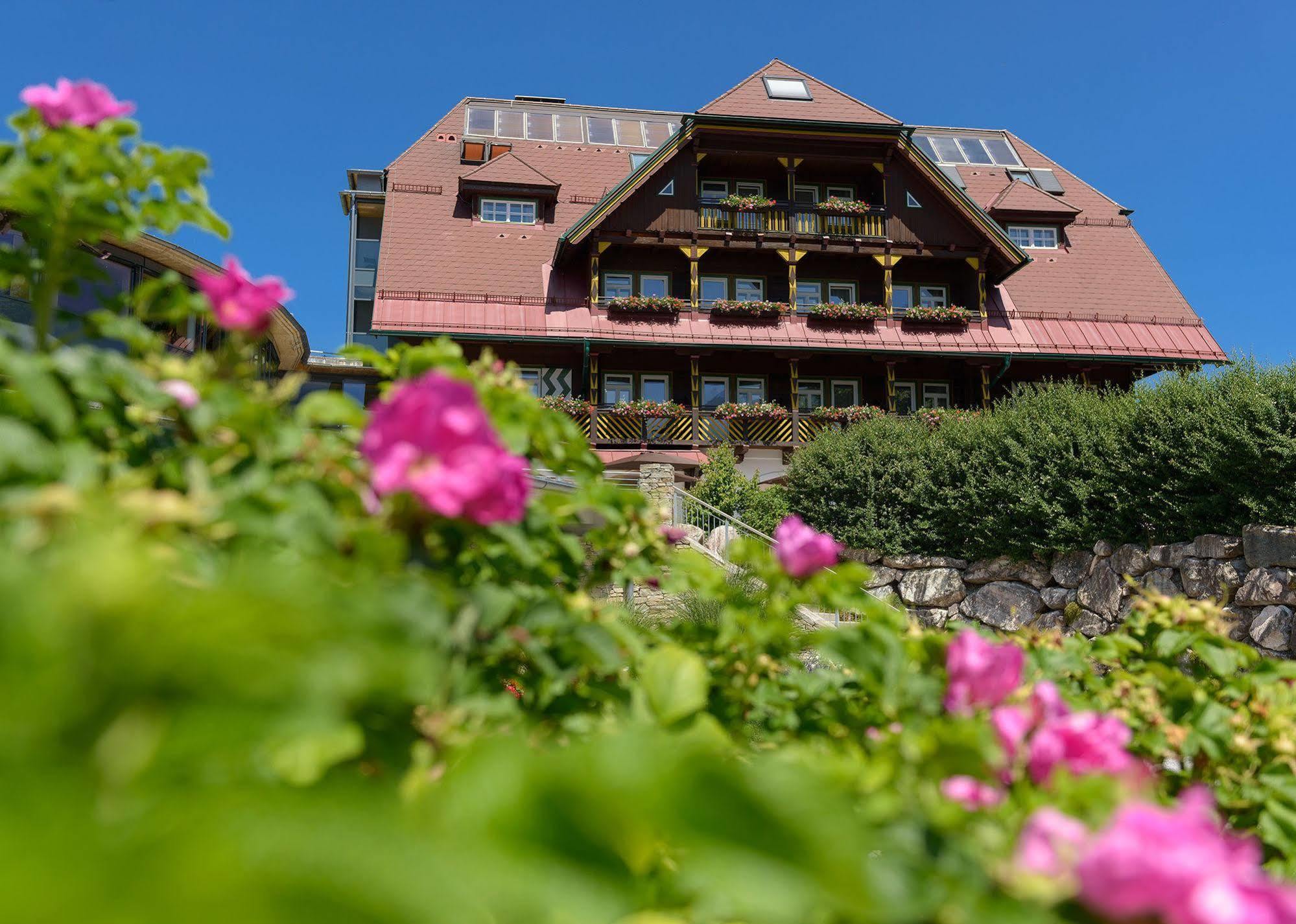 באד אאוסי G'Sund & Natur Hotel Die Wasnerin - Adults Only מראה חיצוני תמונה